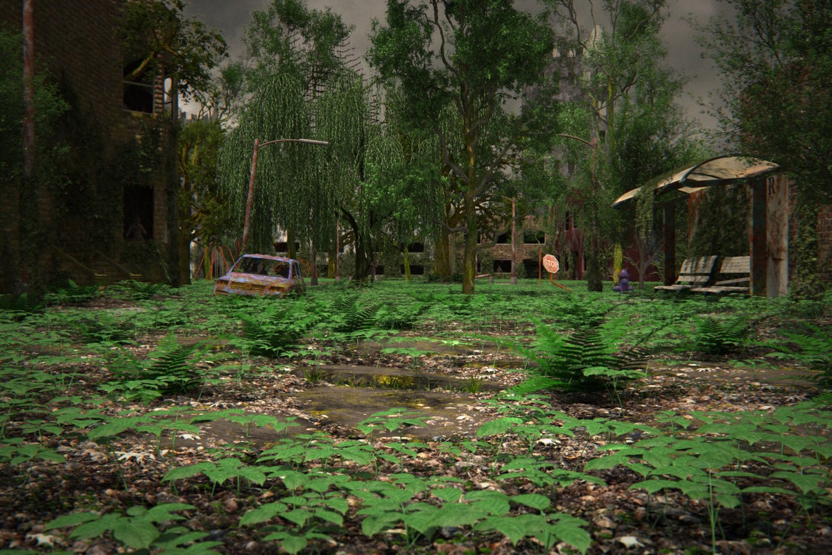 The Digital Backdrop